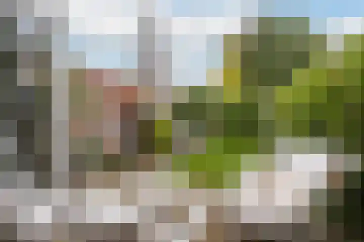 Goudsesingel 5 Vlaardingen thumbnail 5