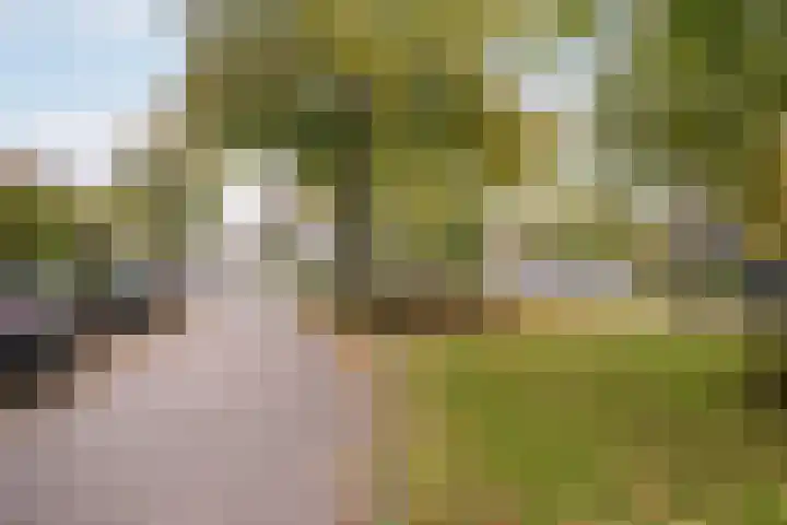 Goudsesingel 5 Vlaardingen thumbnail 6