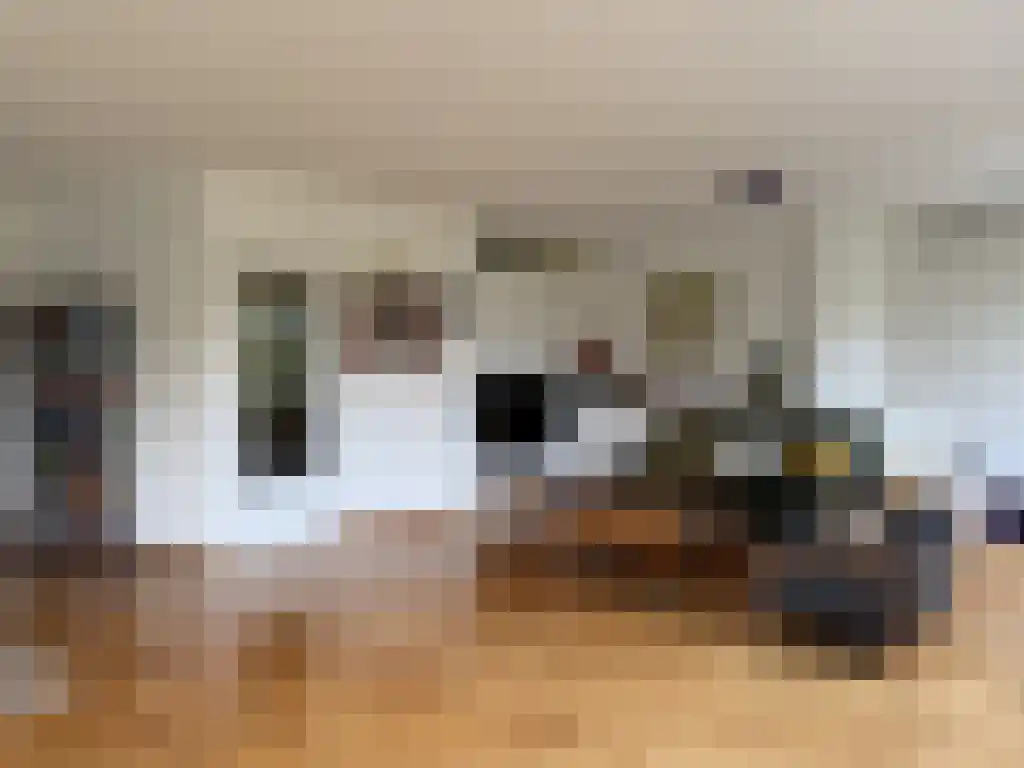 Goudsesingel 517 Rotterdam thumbnail 5