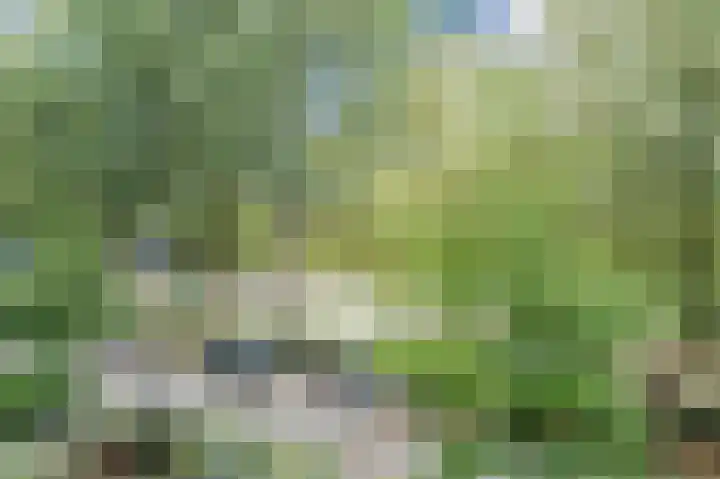 Goudsesingel 568 Rotterdam thumbnail 16