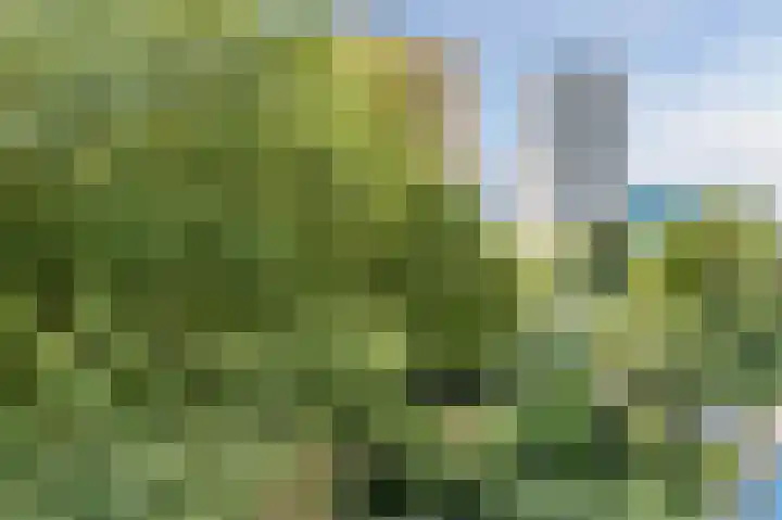 Goudsesingel 568 Rotterdam thumbnail 17