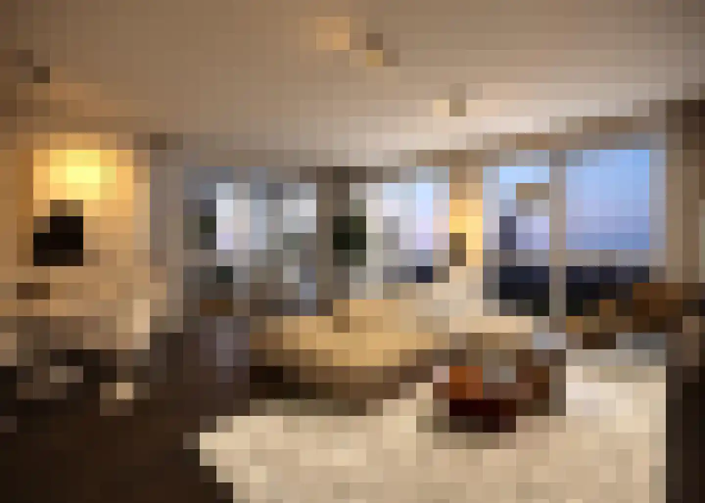 Goudsesingel 6 Rotterdam thumbnail 10