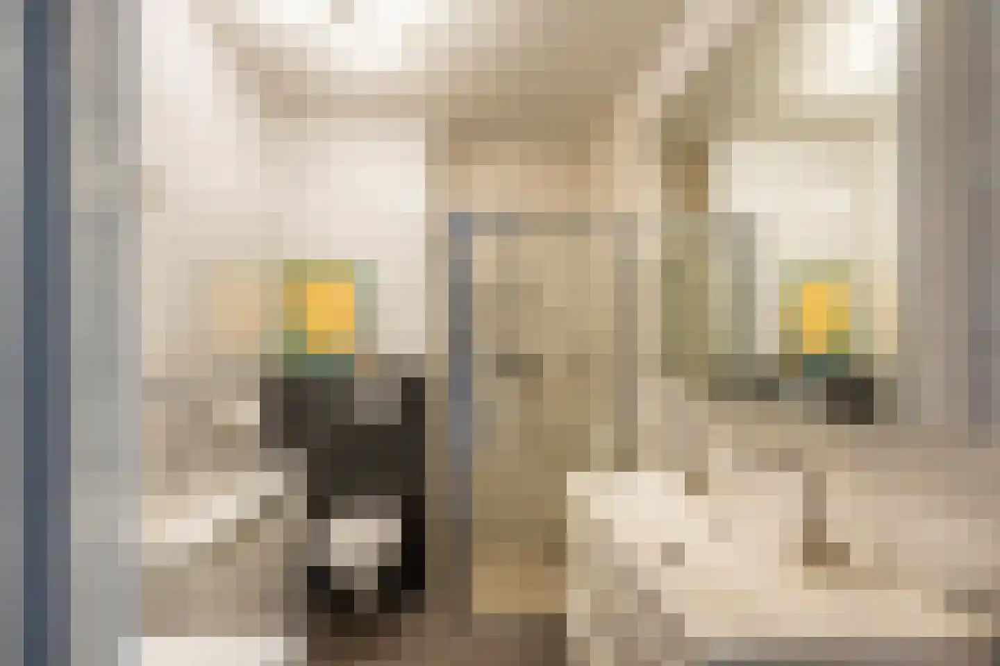 Goudsesingel 626 Rotterdam thumbnail 13