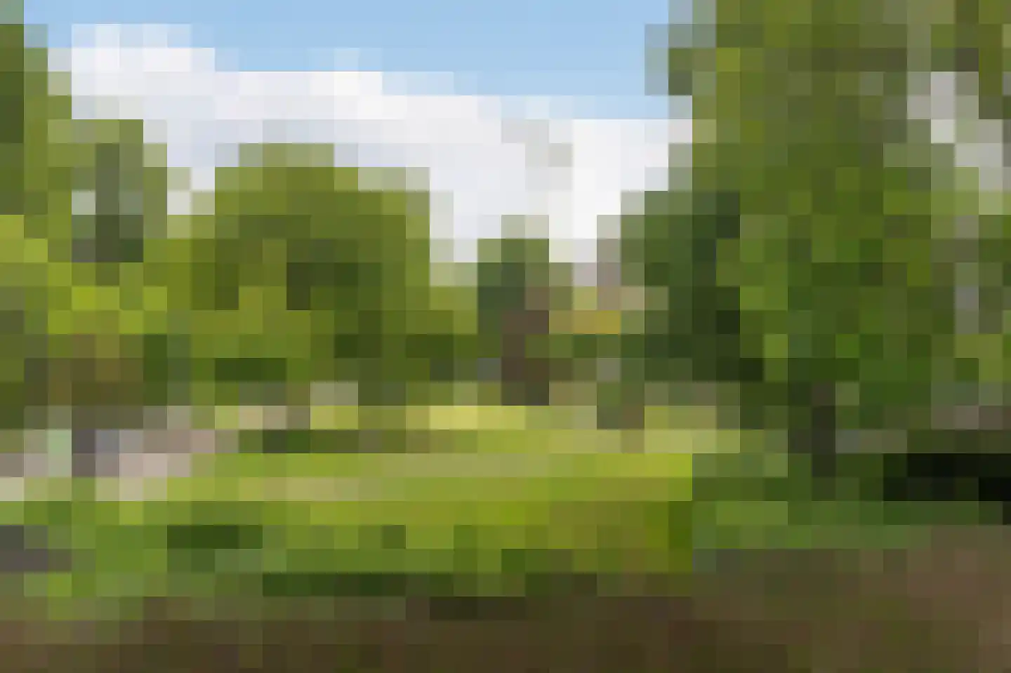 Goudsesingel 626 Rotterdam thumbnail 26