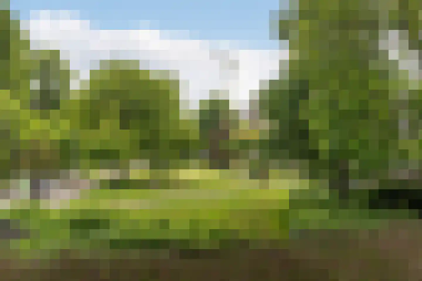 Goudsesingel 626 Rotterdam thumbnail 28