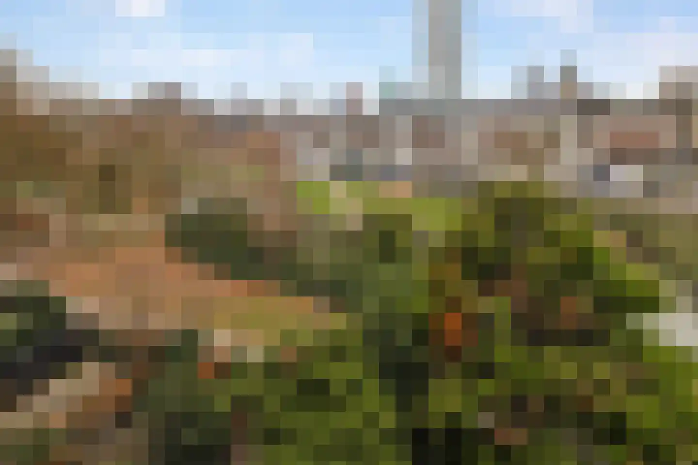 Goudsesingel 634 Rotterdam thumbnail 15