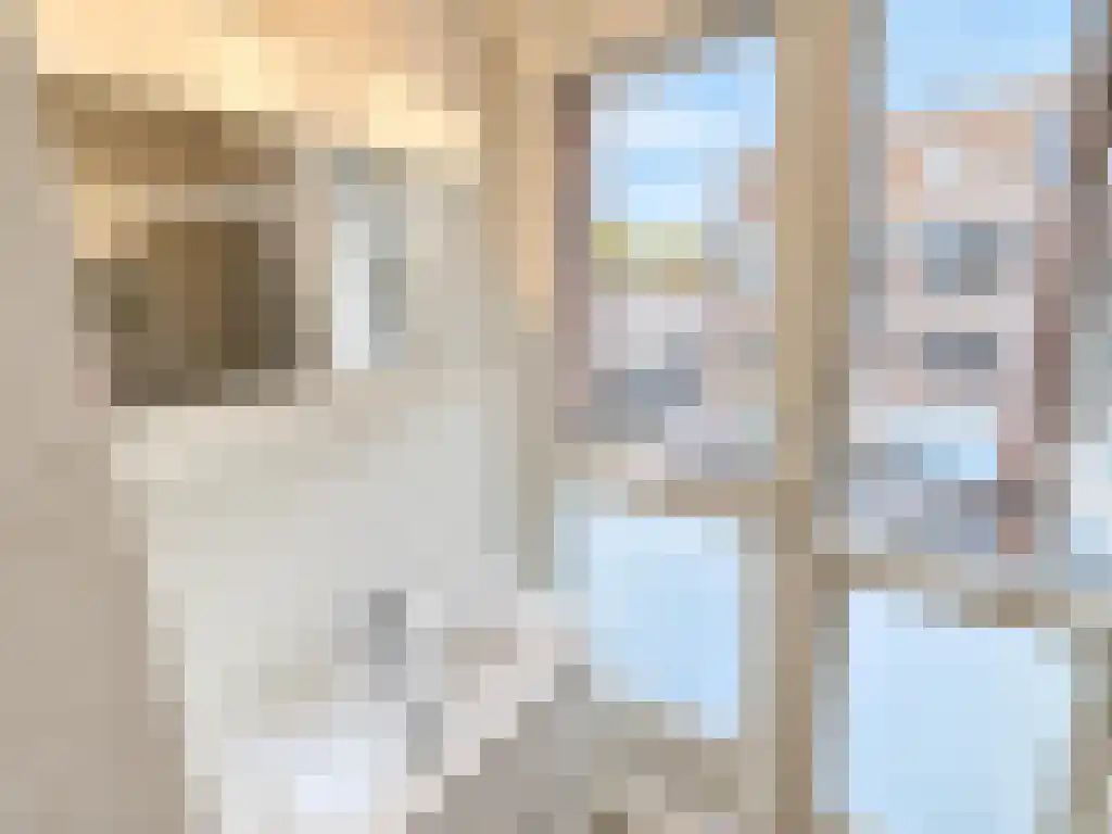 Goudsewagenstraat 21 Rotterdam thumbnail 8