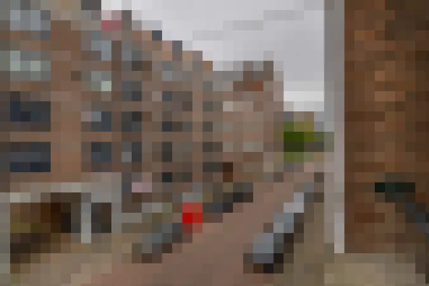 Goudsewagenstraat 23 C Rotterdam thumbnail 21