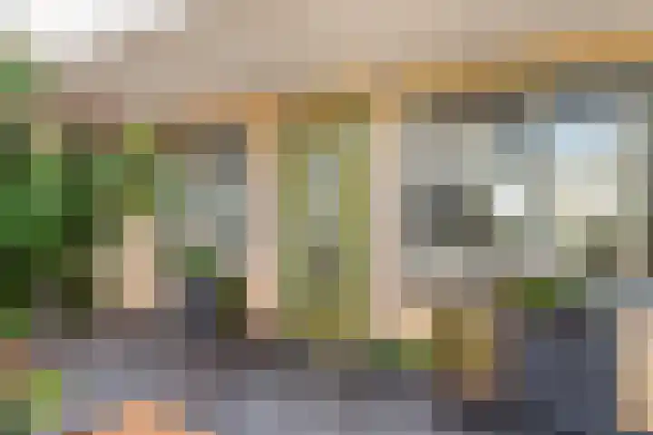 Goudseweg 1 d Stolwijk thumbnail 30