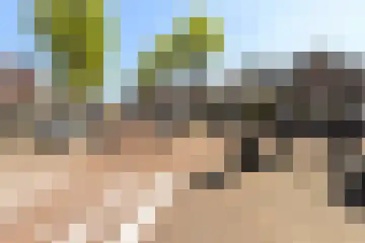 Goudseweg 1 d Stolwijk thumbnail 42