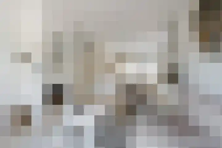 Goudseweg 165 Bodegraven foto 2