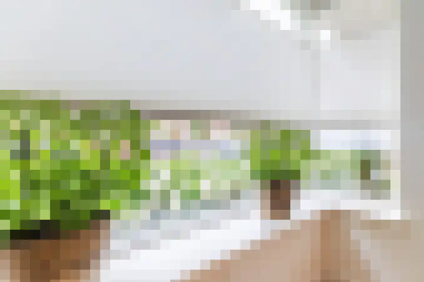 Goudseweg 19 Bodegraven thumbnail 15