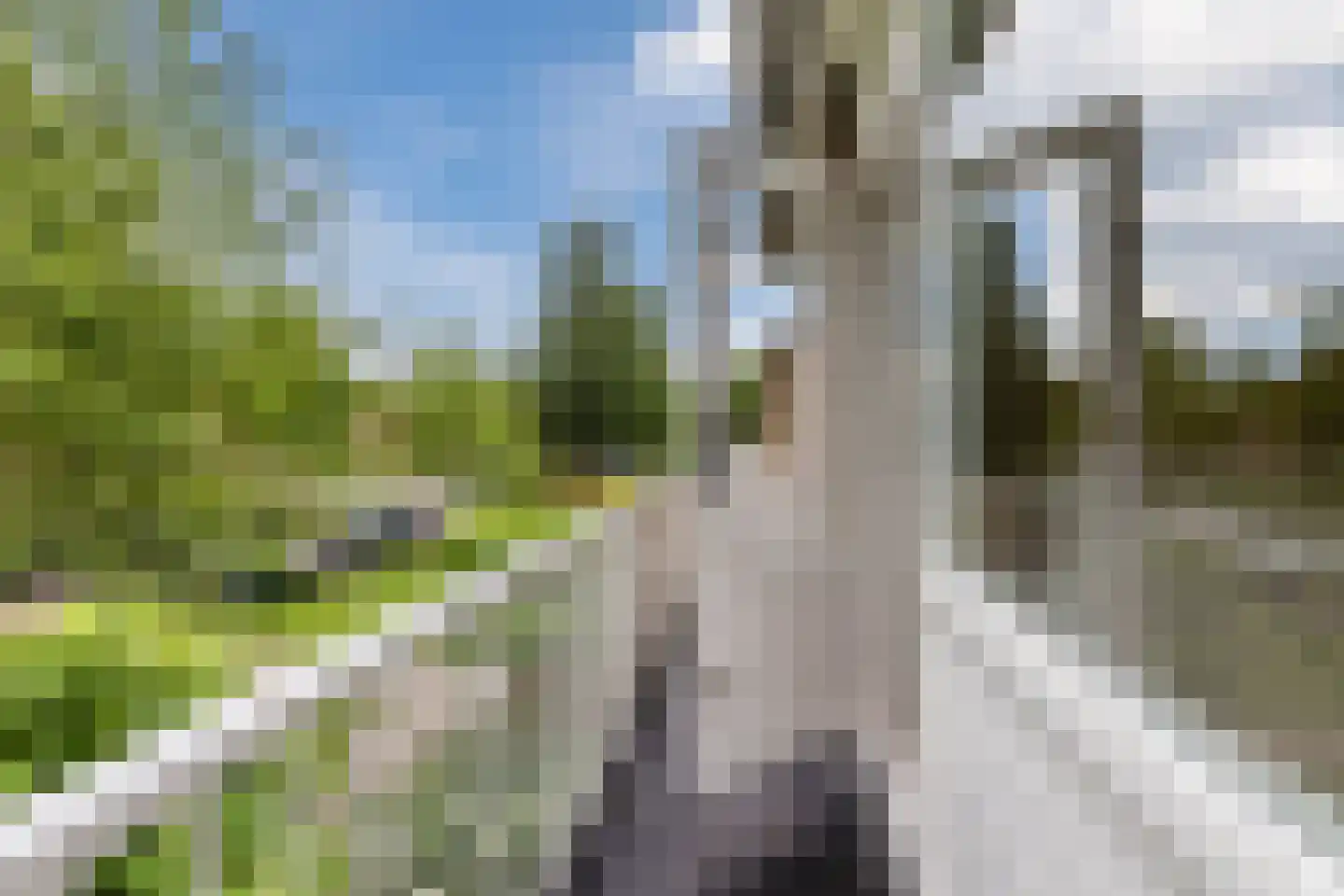 Goudseweg 19 Bodegraven thumbnail 41