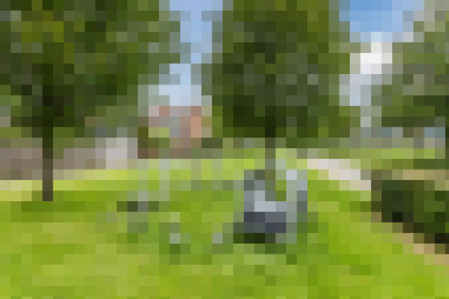 Goudseweg 19 Bodegraven thumbnail 61