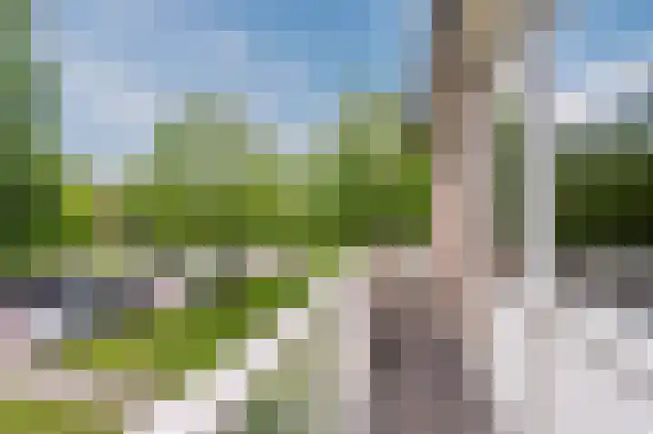 Goudseweg 31 Bodegraven thumbnail 24