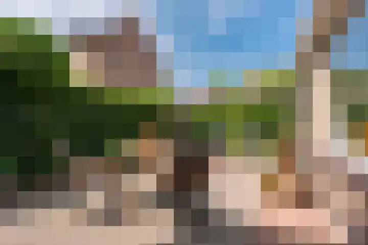 Goudseweg 31 Bodegraven thumbnail 6