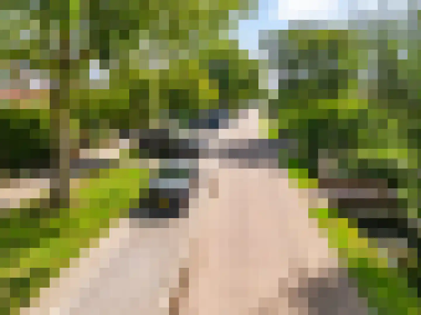 Goudseweg 31 Gouda thumbnail 33