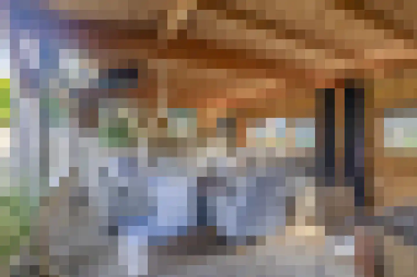 Goudseweg 36 Stolwijk thumbnail 31