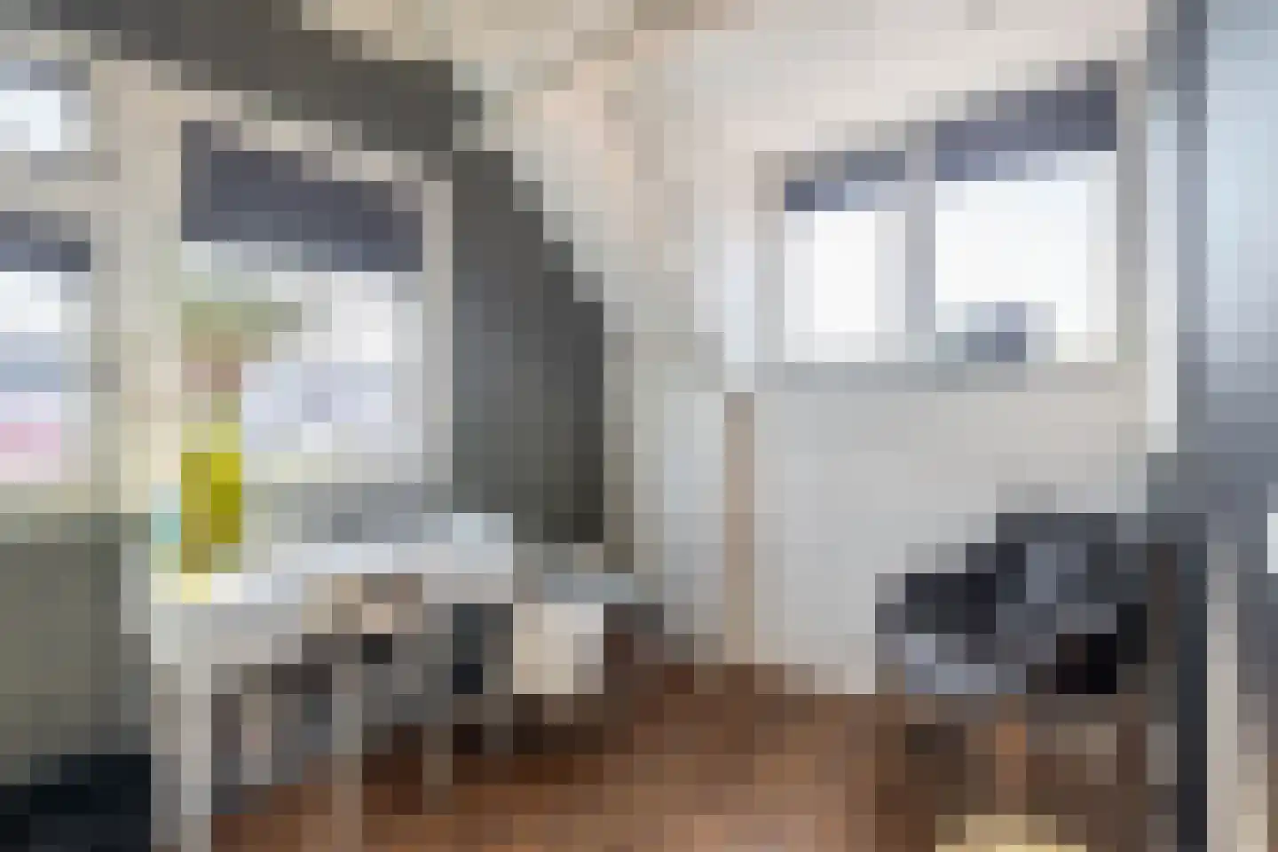 Goudseweg 36 Stolwijk thumbnail 43