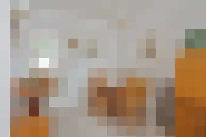 Goudseweg 5 Stolwijk thumbnail 10