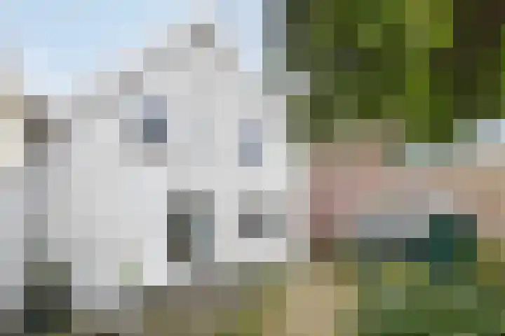 Goudseweg 5 Stolwijk thumbnail 23