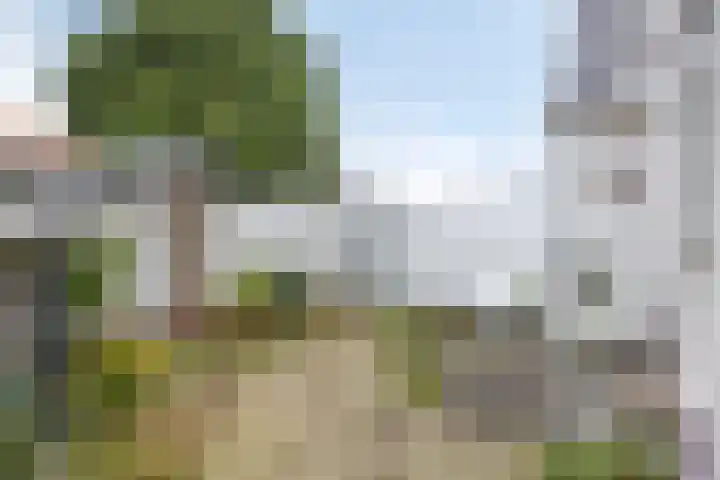 Goudseweg 5 Stolwijk thumbnail 26