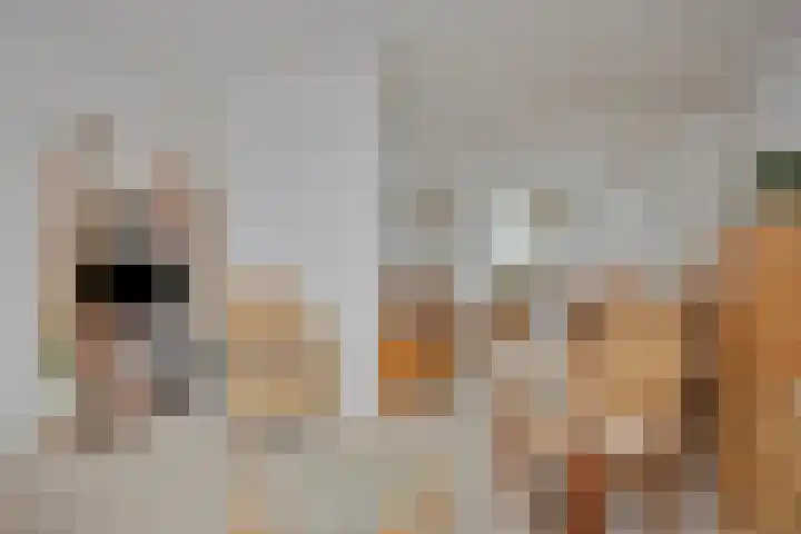 Goudseweg 5 Stolwijk thumbnail 7