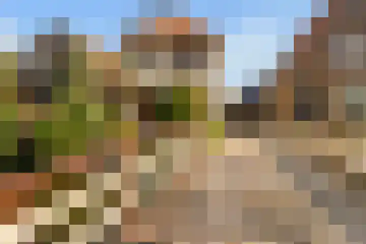 Goudseweg 62 Stolwijk thumbnail 36
