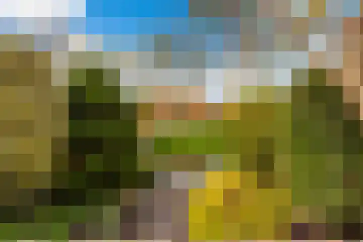 Goudseweg 62 Stolwijk thumbnail 38