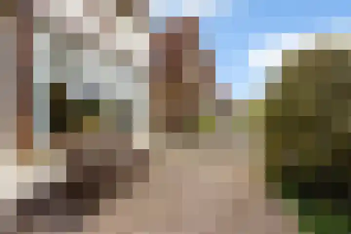 Goudseweg 62 Stolwijk thumbnail 40