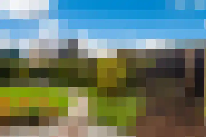 Goudseweg 62 Stolwijk thumbnail 45