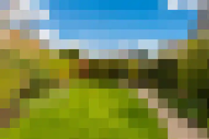 Goudseweg 62 Stolwijk thumbnail 46