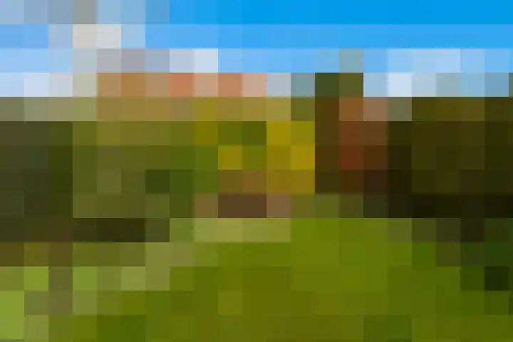 Goudseweg 62 Stolwijk thumbnail 47