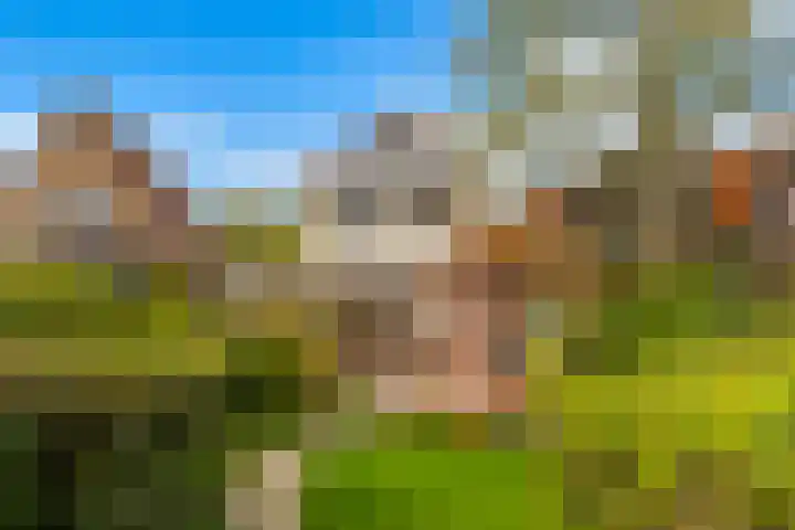 Goudseweg 62 Stolwijk thumbnail 48
