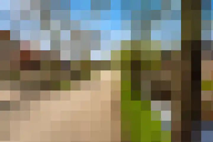 Goudseweg 62 Stolwijk thumbnail 51