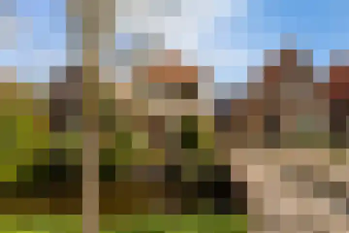 Goudseweg 62 Stolwijk thumbnail 58