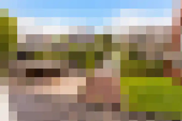 Goudseweg 78 Stolwijk thumbnail 30