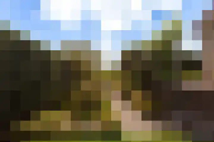Goudseweg 78 Stolwijk thumbnail 37