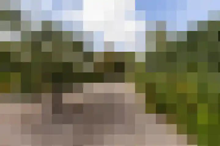Goudseweg 78 Stolwijk thumbnail 38