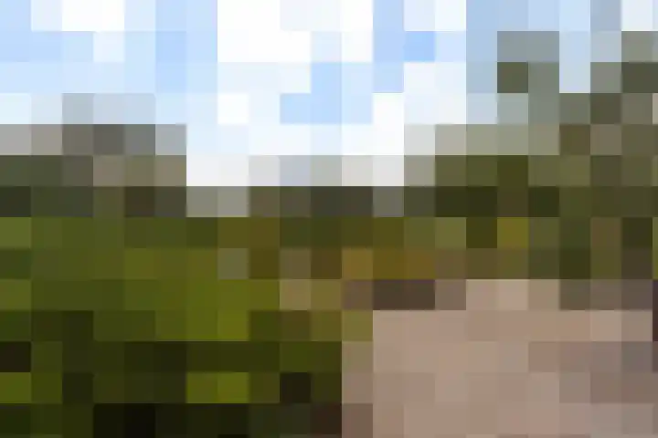 Goudseweg 78 Stolwijk thumbnail 39