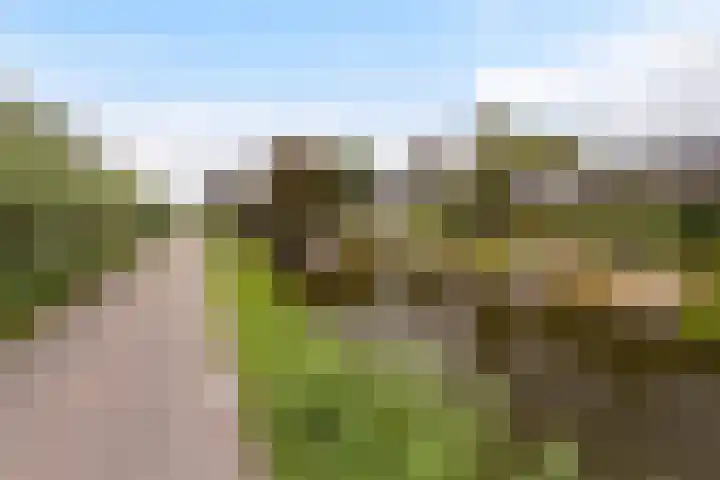 Goudseweg 78 Stolwijk thumbnail 40