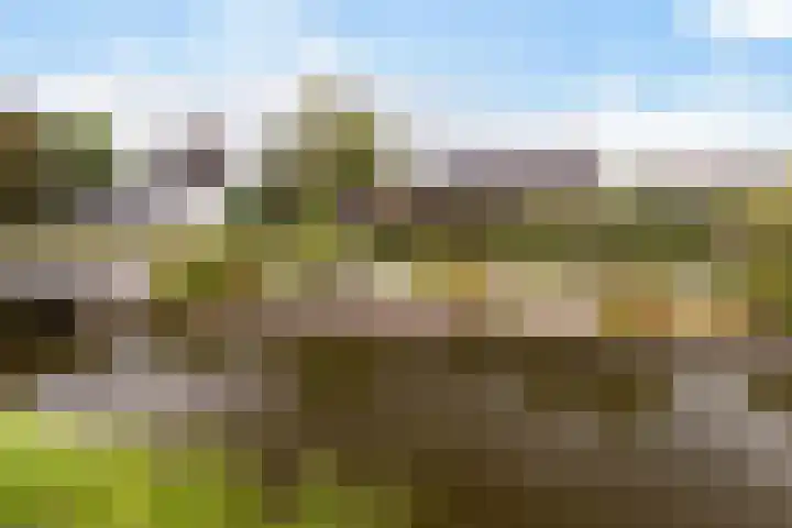 Goudseweg 78 Stolwijk thumbnail 41