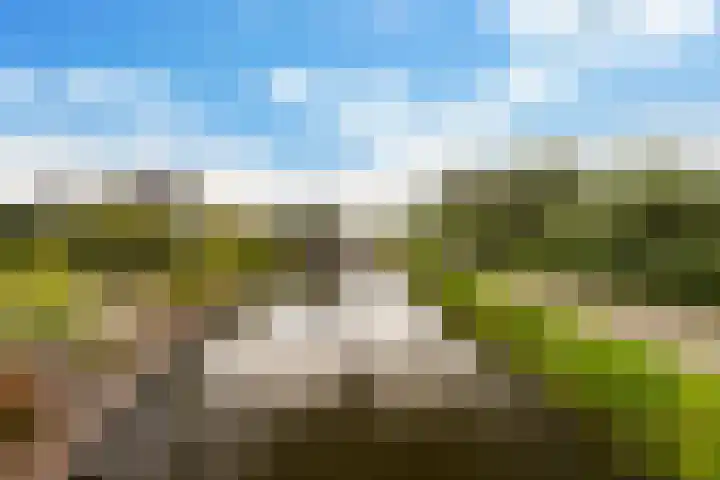 Goudseweg 78 Stolwijk thumbnail 43