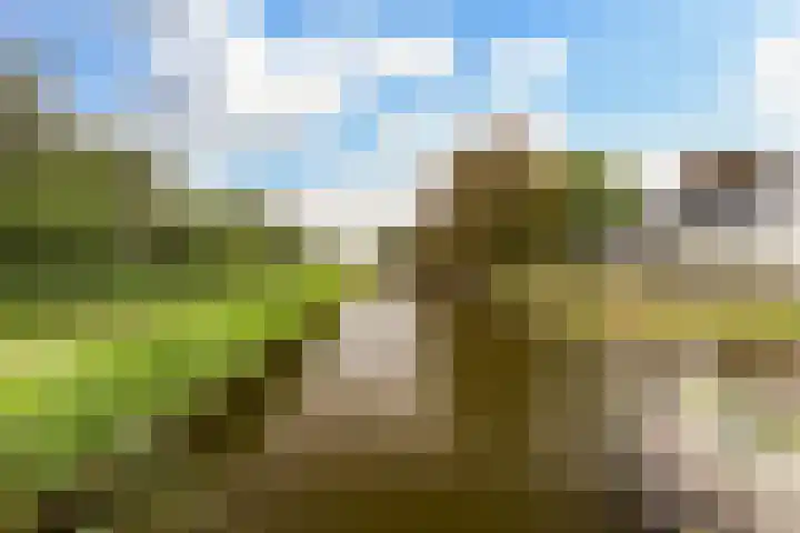 Goudseweg 78 Stolwijk thumbnail 44