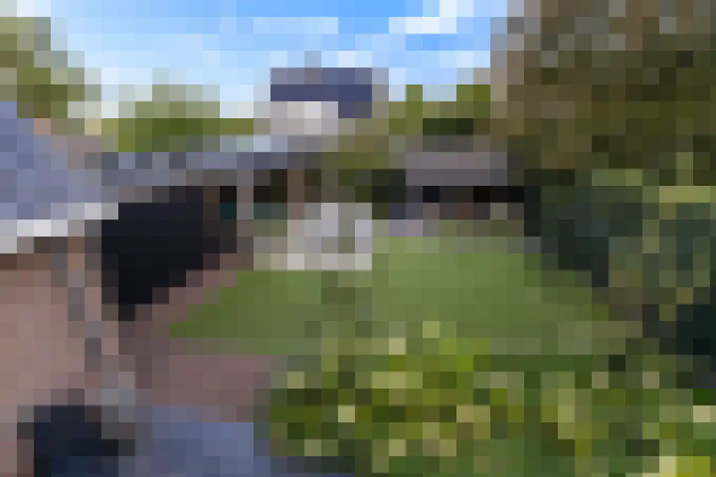Goudseweg 80 Stolwijk thumbnail 28