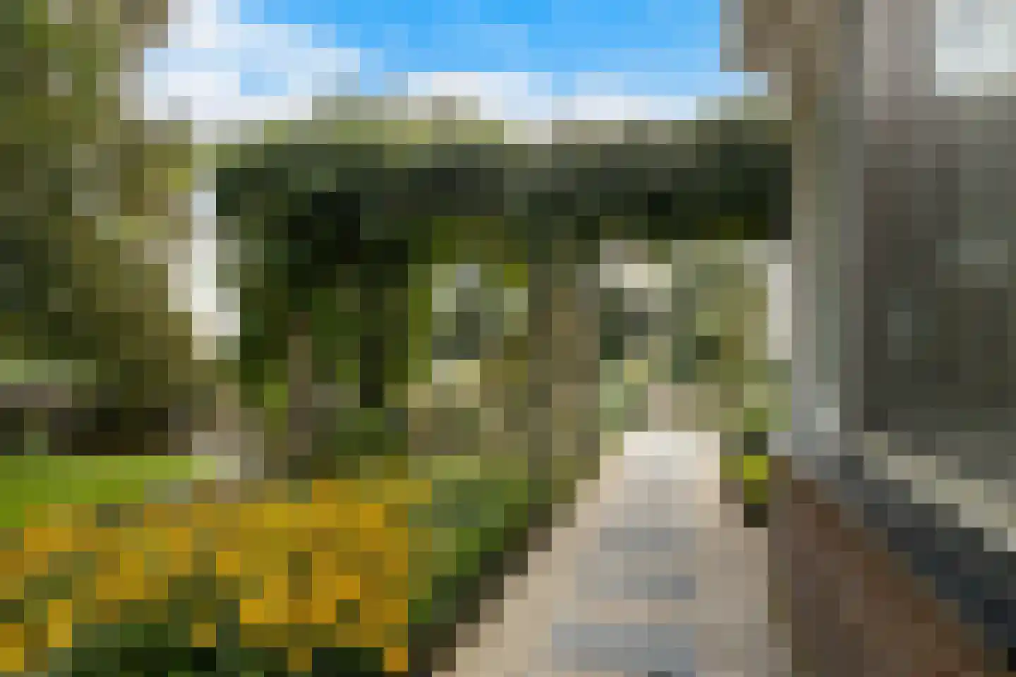 Goudseweg 80 Stolwijk thumbnail 44