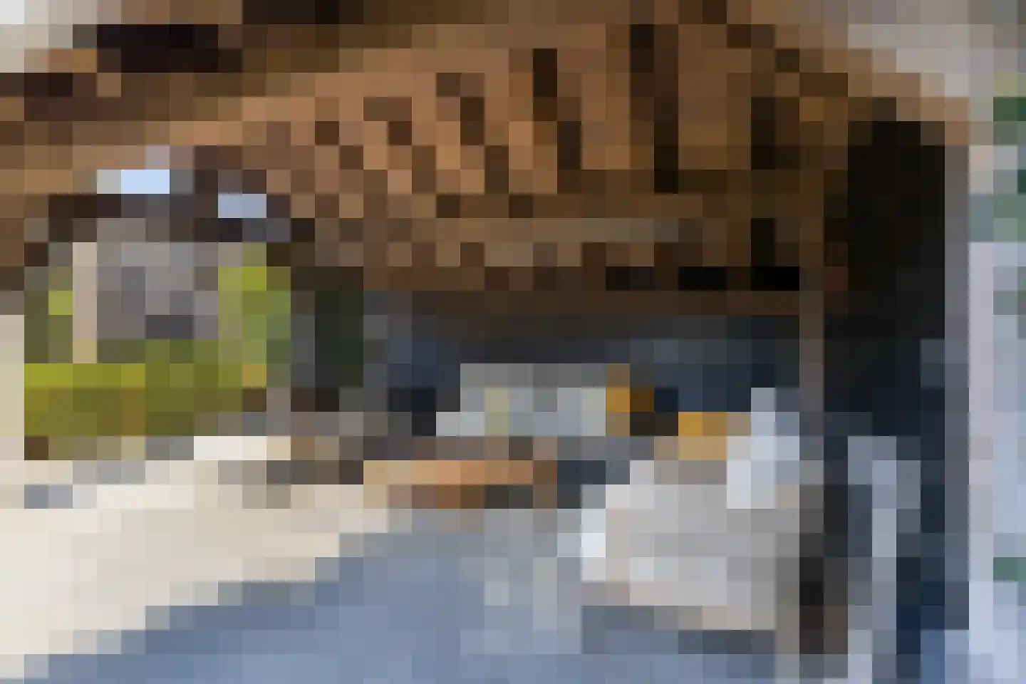 Goudseweg 80 Stolwijk thumbnail 51