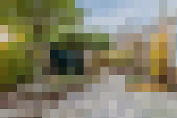 Goudseweg 83 Bodegraven thumbnail 41
