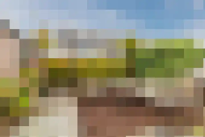 Goudseweg 83 Bodegraven thumbnail 42