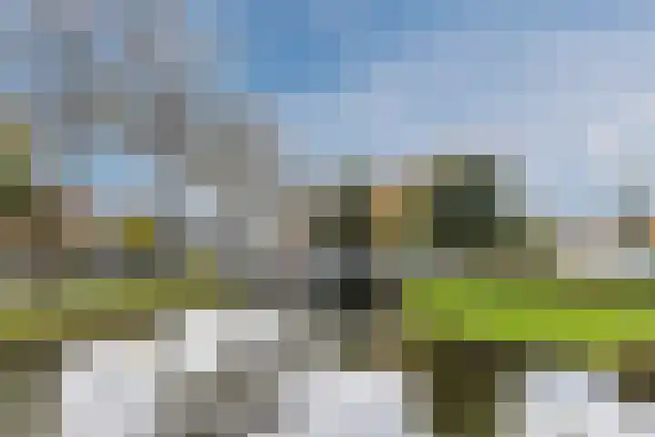 Goudseweg 83 Bodegraven thumbnail 51